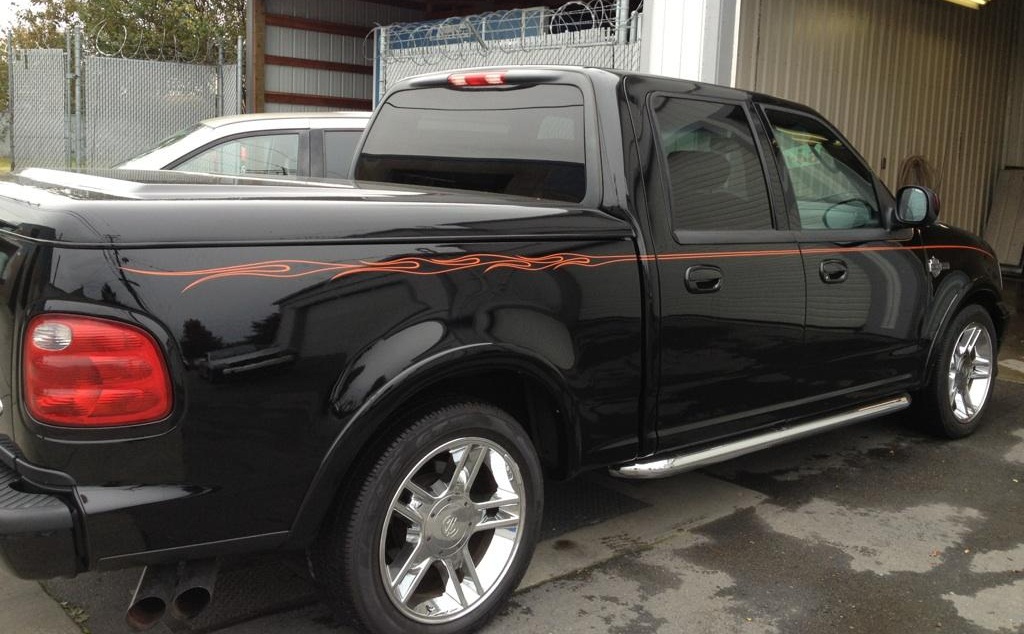 Ford f150 pinstripe